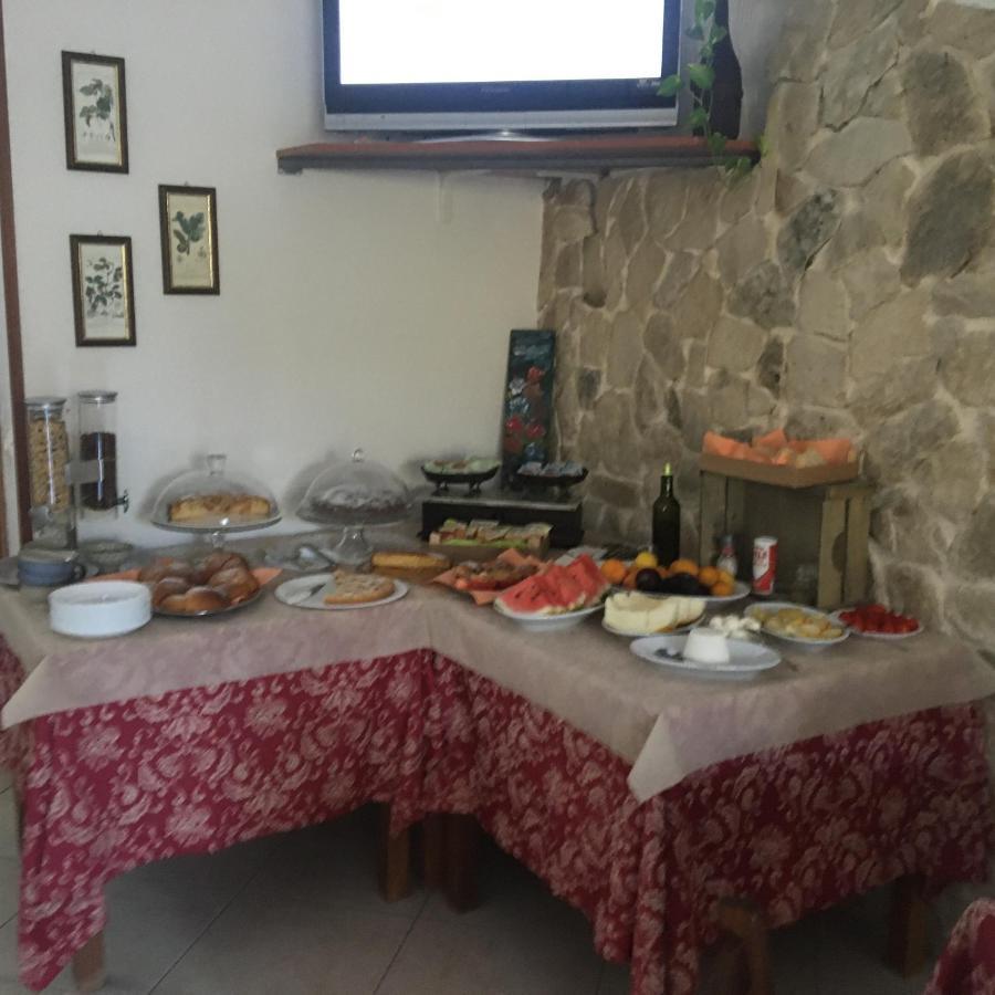 Azienda Agricola B&B Macchiaria Vieste Exterior foto