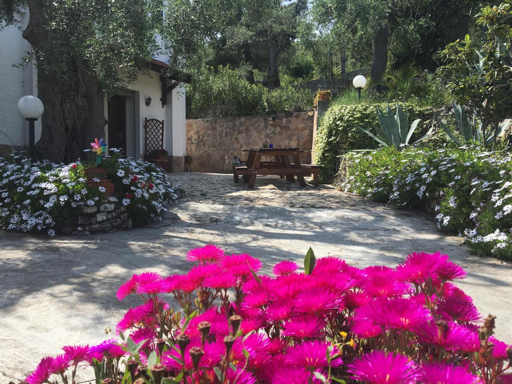 Azienda Agricola B&B Macchiaria Vieste Exterior foto