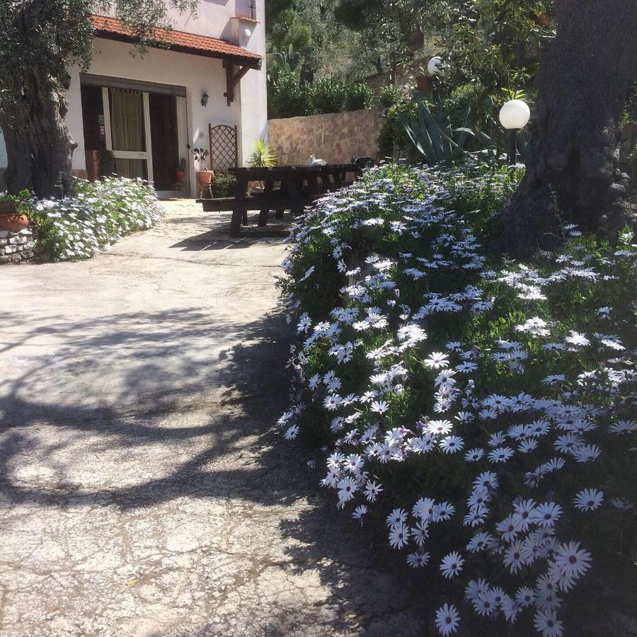 Azienda Agricola B&B Macchiaria Vieste Exterior foto